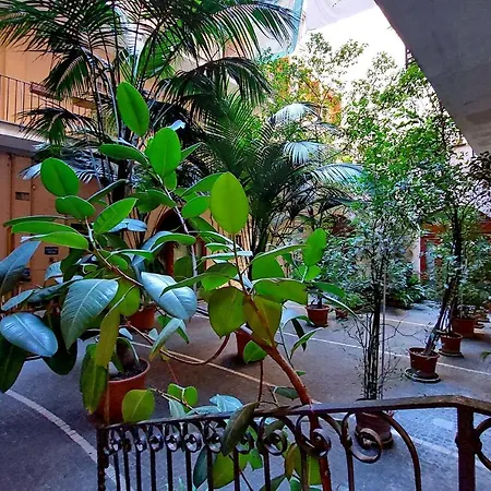 Domus Lou Elegante In Trastevere Apartment Rome
